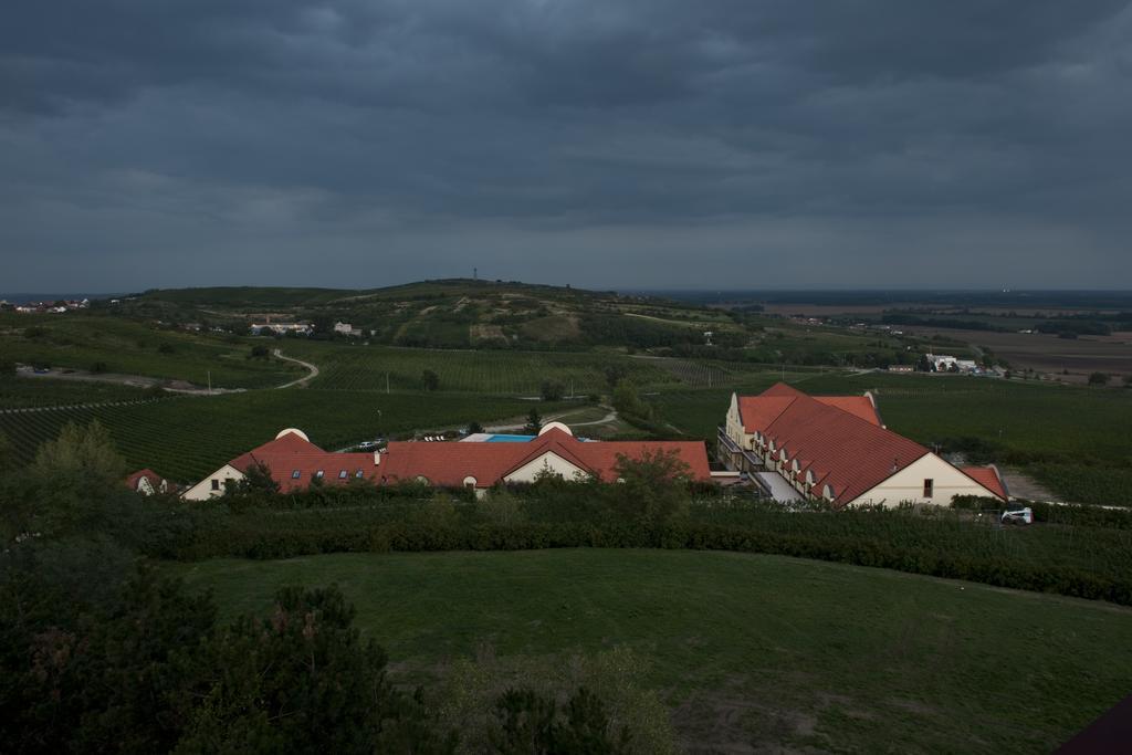 Vinarstvi U Kaplicky Hotel Zaječí Szoba fotó
