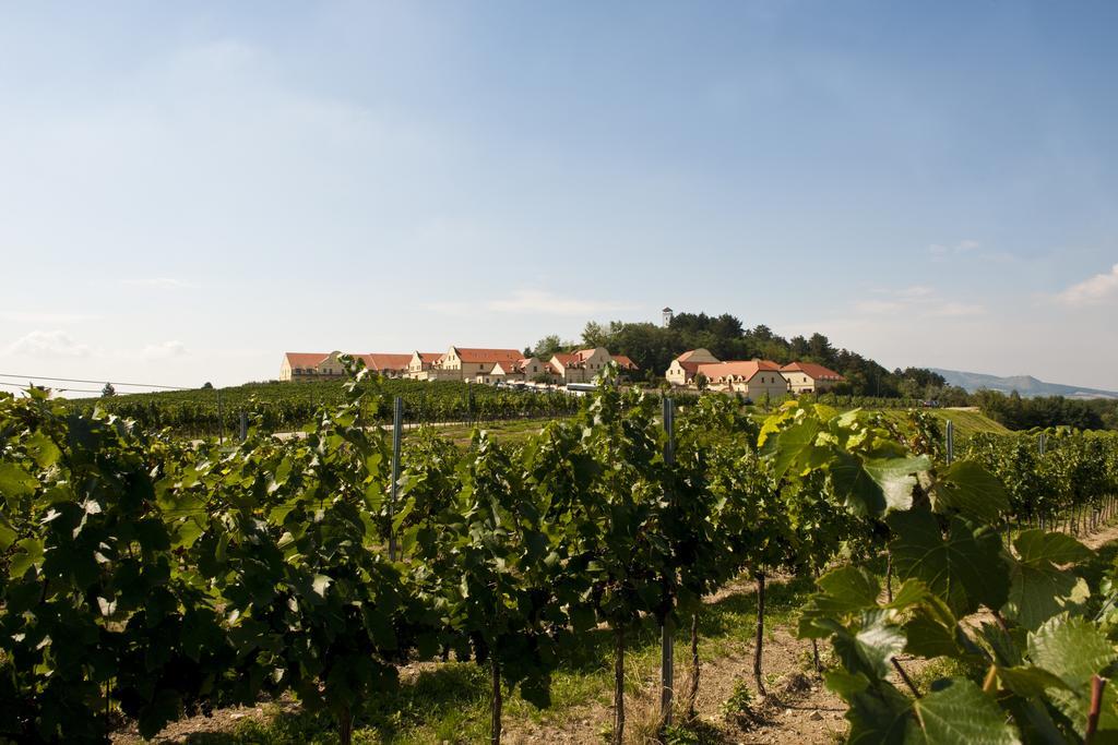 Vinarstvi U Kaplicky Hotel Zaječí Kültér fotó