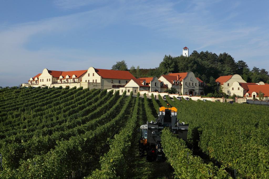 Vinarstvi U Kaplicky Hotel Zaječí Kültér fotó